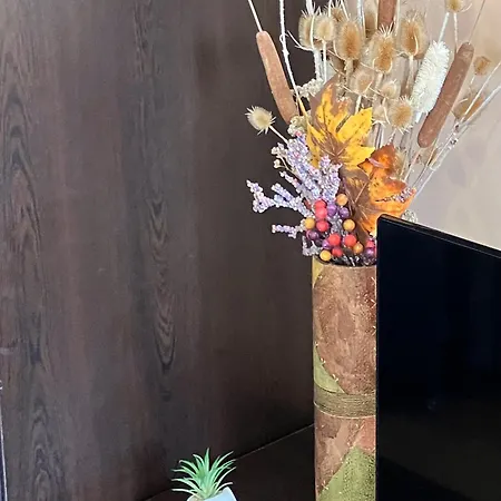 Lift 531 Apartment Bansko